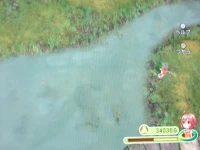 fish_dorado-2.png